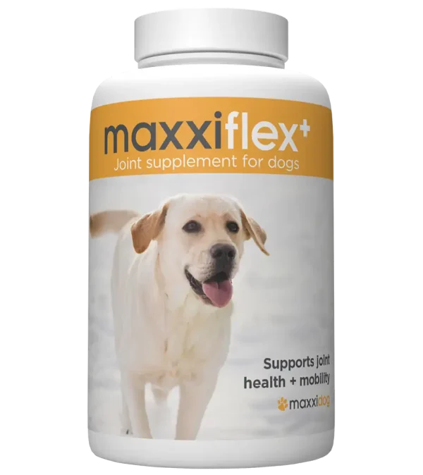 Bottle of maxxiflex advanced hip and joint supplement for dogs